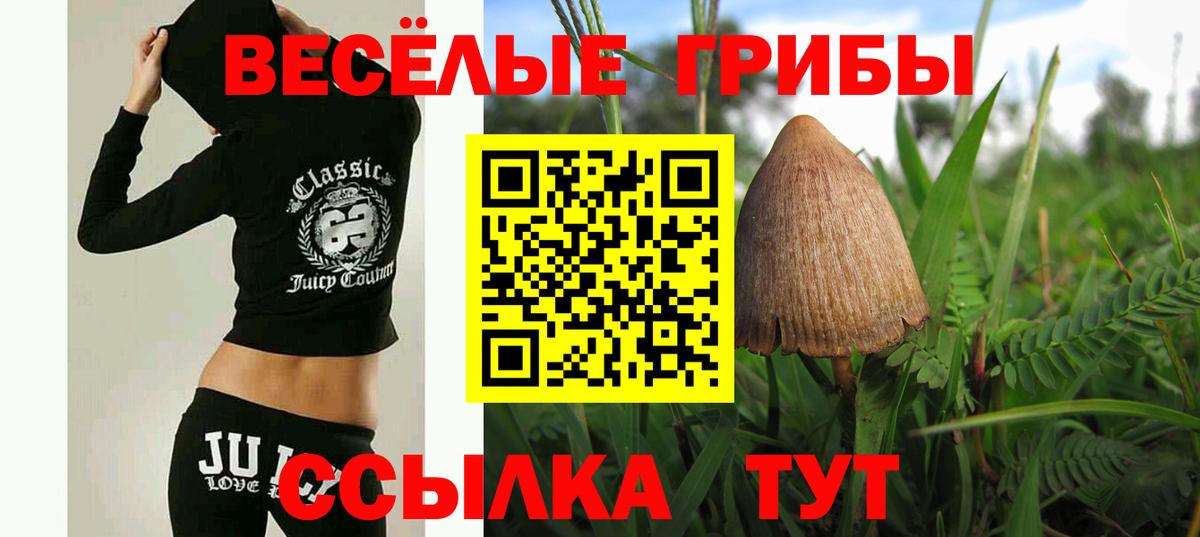 Альметьевск  Псилоцибиновые грибы ЛСД  Вход с VPN 