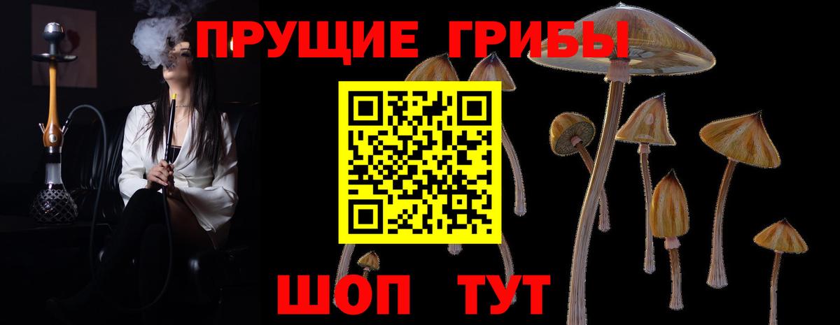 Псилоцибиновые грибы MAGIC MUSHROOMS Альметьевск